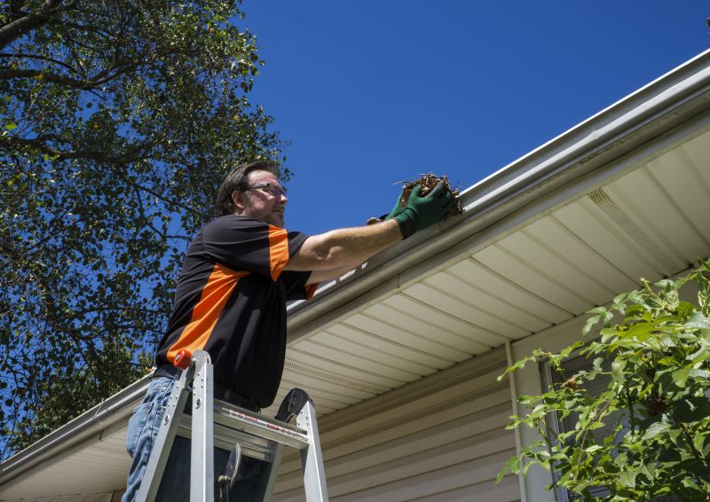 Gutters Painting