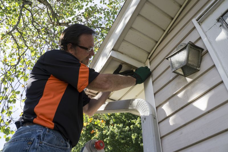 Gutters Painting Service